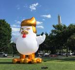Надувной цыпленок похожий на Дональда Трампа возле Белого дома